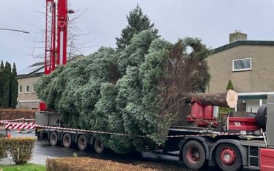 Zoektocht kerstboom 2024