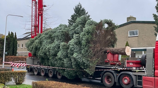 Zoektocht kerstboom 2024